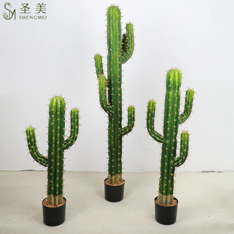 仙人掌八棱柱仙人柱大型植物盆栽摆件室内热带绿植盆景装饰场景