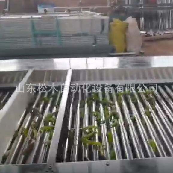 滚杠分选机选果机小柿子山楂分级机猕猴桃分拣机核桃芒果分选机