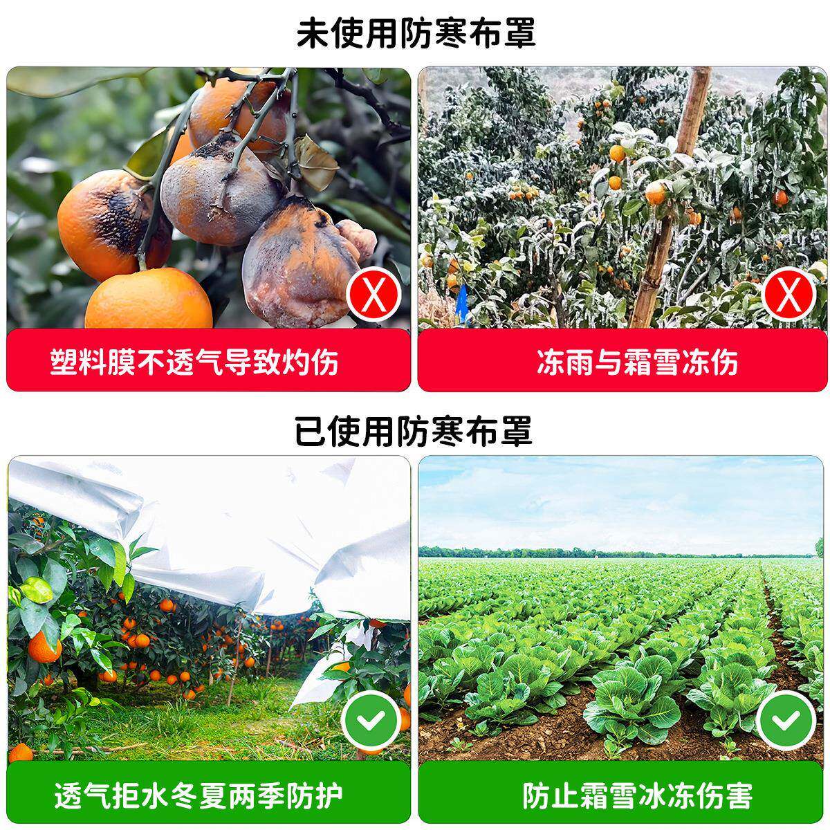 跨境北半球水季植物覆物0.6m-25m盖宽幅透光冬EP0040拒防霜冻防雨