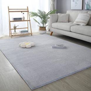 现代简约风纯色地毯家用客厅卧室满铺毯防滑耐脏易打理蛋糕绒地毯