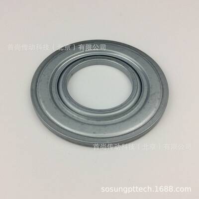 45*100 LSTO NILOS-RINGS尼罗斯迷宫密封盘 45 100 4LSTO LST-L