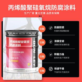 丙烯酸聚料rgfdDL41硅涂氧防腐烷料工业防腐防锈涂厚型聚硅氧烷面