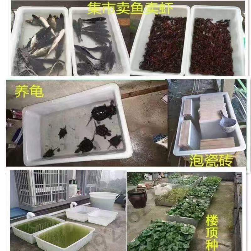 加厚塑料水箱家用养鱼箱养龟周转箱熟胶H牛筋浅盆长方形养殖储水