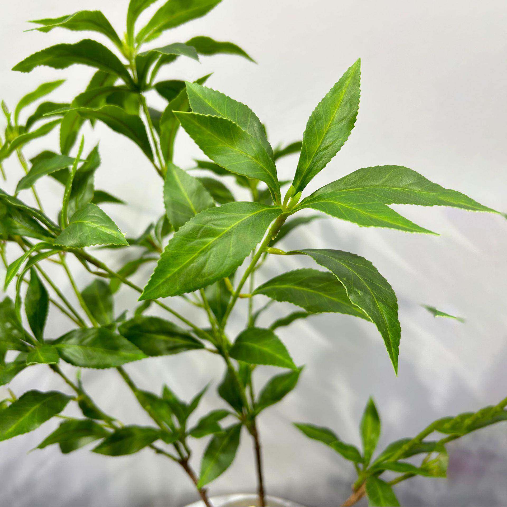 仿物真植马醉室仿真绿植内木客厅摆件假枝叶绿植落地装饰仿真植绿