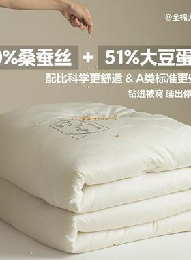A全棉纯棉蚕丝纤大豆维春被AL87406加厚类冬被秋被子母被被子被芯
