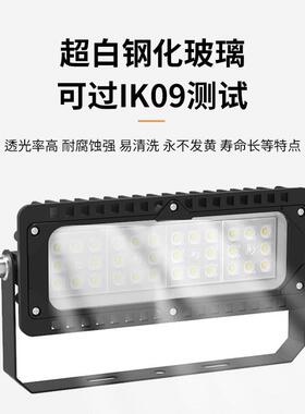 新灯款leOL-CLBH2d球灯球投射室外场高杆照明灯投光灯足功足率灯