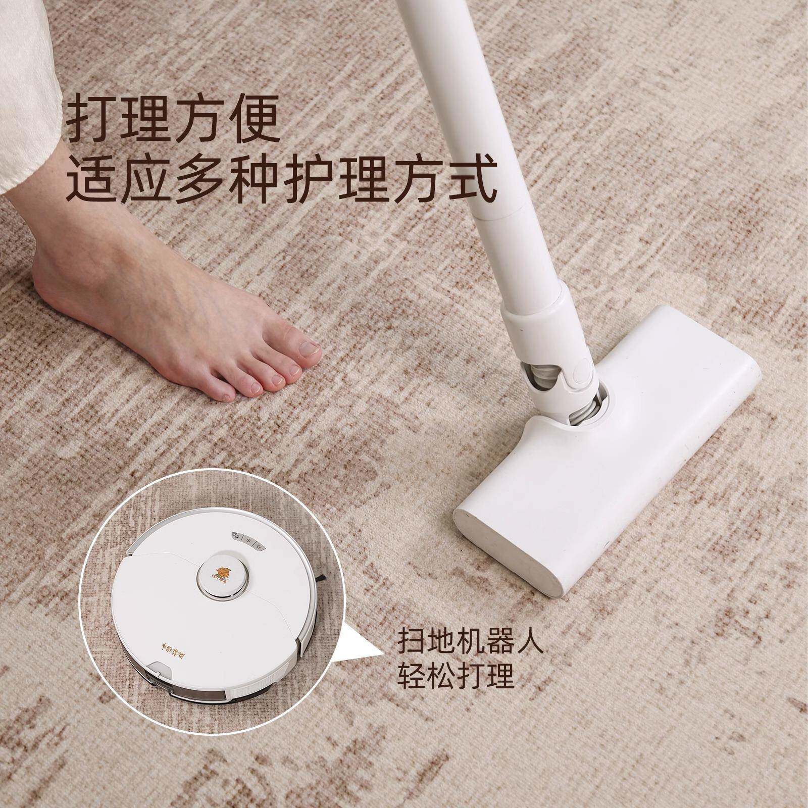 地毯客厅中古可风2圈绒布底025款家用新发茶几沙新中式加厚地垫防