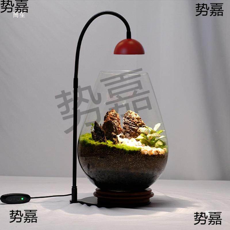 红帽微观灯LE植DWDJ瓶造景小苔藓鱼缸水族全光谱景蕨类补光物灯