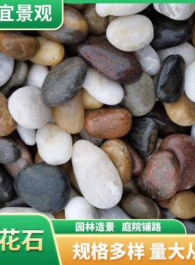 铺鹅卵石雨花石070602原多肉小石子饰鱼缸花盆鹅软庭院装面园艺五