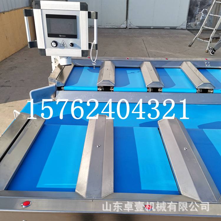 重量组合配重称大型称重设备 精度高分选速度快 重量可选榴莲组合