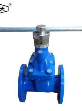 沪天阀1470门法兰加密阀DN10垂直板式软密封带闸锁阀表阀加密前闸