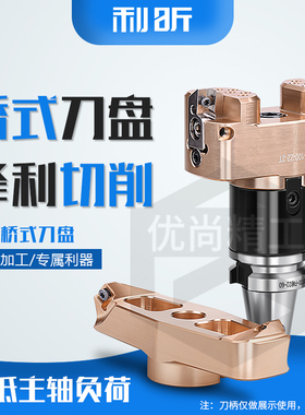 进口AP SE1204高光刀盘铝制刀盘桥式铝用刀盘面铣刀可调式铝刀盘