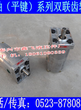 CBWL-E316/E316-AFPL双联高压齿轮油泵CBNL 2CBN FHC ALPL FHR