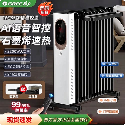 格力AI语音石墨烯速热电暖器