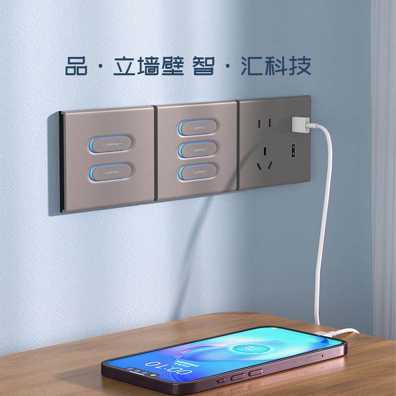 【厂通家】智能开关语音远程制双控多控igb控ee时控开关单零火版-