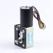 无刷直流减速电机12v24v蜗轮蜗杆5840 3650调速微小型大扭力马达