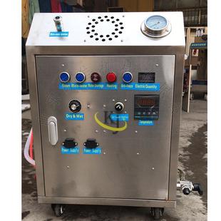 电热蒸蒸汽车机 99高温高压清洗机 汽车内饰动机消毒洗汽清洗发机