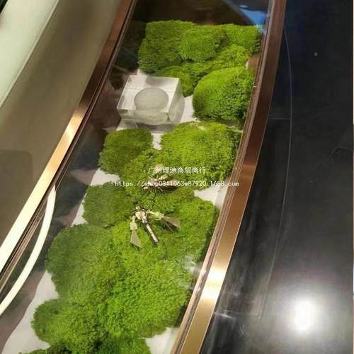 永苔藓植物墙 室内墙软装 工程墙铺面面生造景仿真青苔白BFA大发