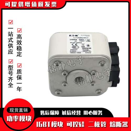 熔断器170M6308 170M6309 170M6310 170M6311 170M6312 170M6313