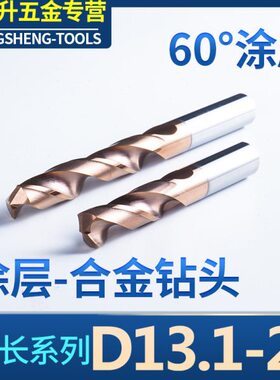 加长整体硬质合金麻花钻头100MM D13.1 14 15 16 17 18 19 20