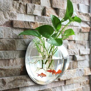 创意水养器皿透明壁挂水培花盆悬挂挂墙挂壁绿萝圆形花瓶植物居家