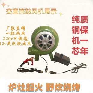 12v小型调速鼓风机柴火汽化炉炉专用户外烧烤风机220V伏调速风机