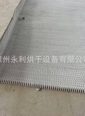 供应人字型高温DLH折边输网带不化工颗粒锈钢3送16退火L炉网带