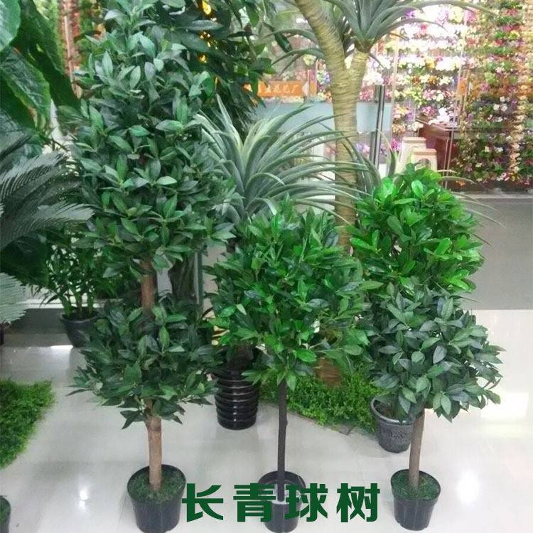 仿真橄榄树球形盆栽人造塑料假树客厅摆放装饰橱窗盆景创意长青球