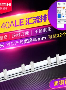 DZ47LE-63空气开关1P+N漏电保护器40A紫铜连接汇流排空开间距45mm