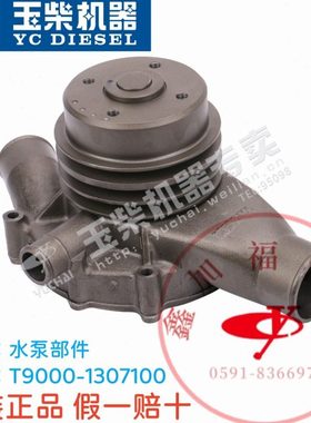 玉柴原厂YC6TD/6T540马力发动机水泵T9000-1307100船电发电机专用