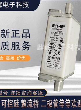 170M1563/170M1564/170M1565/170M1566/ 1567 1568 巴斯曼熔断器