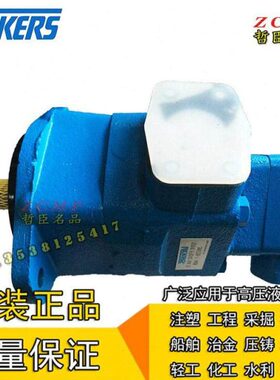 油泵V2010-1F6B5B/1F7B5B/1F8B5B/1F9B5B-1AA12/1CC12R/1DD12-10