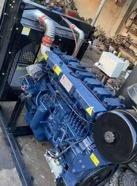 潍柴WP2.3/3/4/6/7/8/10/12/13发动机260-550马力船用车用及配件