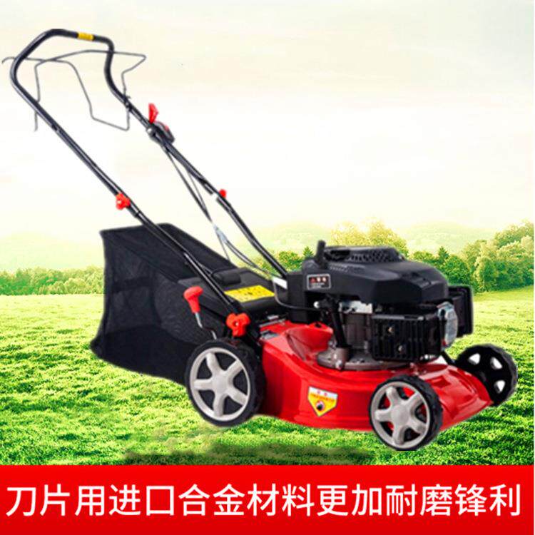 私人别墅花园割草机草地绿化修剪机公园草坪手推式修剪机