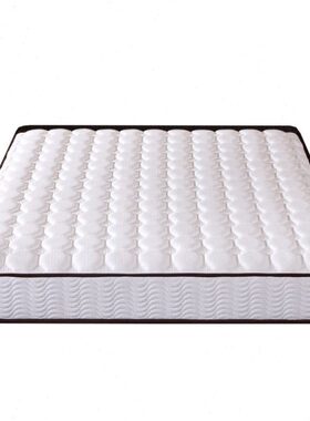 臻远 ZY-ML-H09201 席梦思弹簧床垫 1000*2000 白色