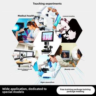 数字超清微循环检测器，海龟，指尖，血管，血流率观察者，视频和