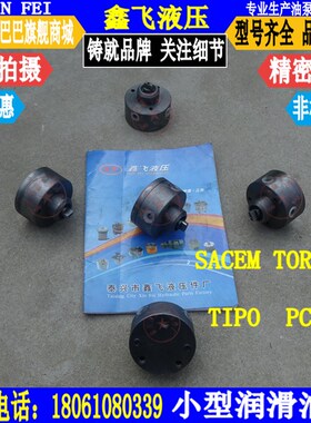 代替进口摆线润滑油泵SACEM TIRINO  TIPO PC5小型抽油泵