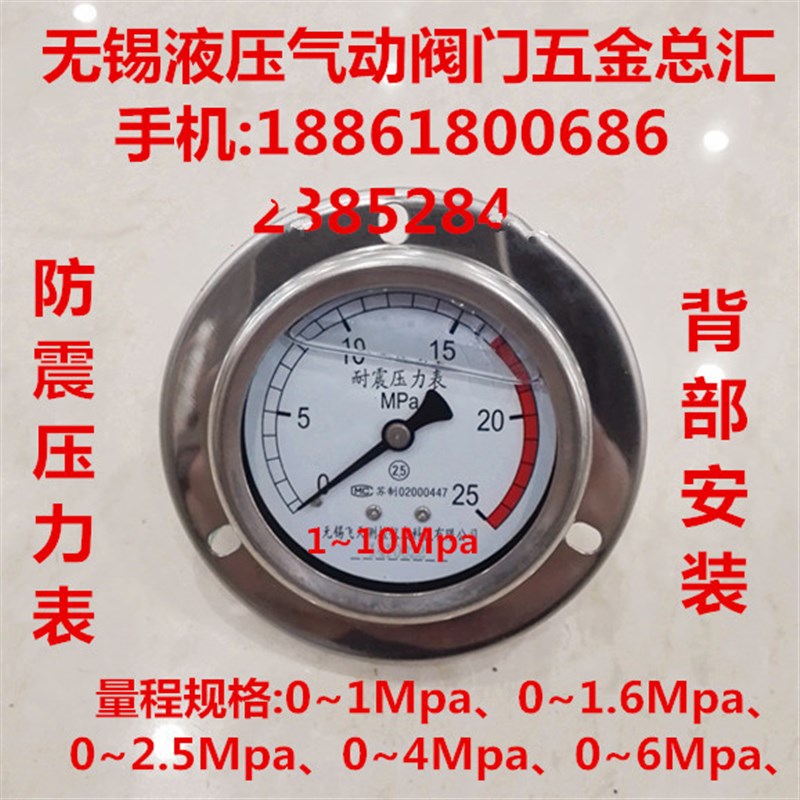 耐震压力表0~1Mpa/2.5/60公斤轴向带边充油压YN60表面背部安装