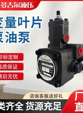 VP-20-FA3液压泵VP-30-FA3/40 08/12/15 变量叶片泵油泵