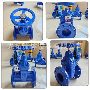 铸铁软密封法杆兰闸阀Z45530X暗弹座封污水铸管性道铁闸阀