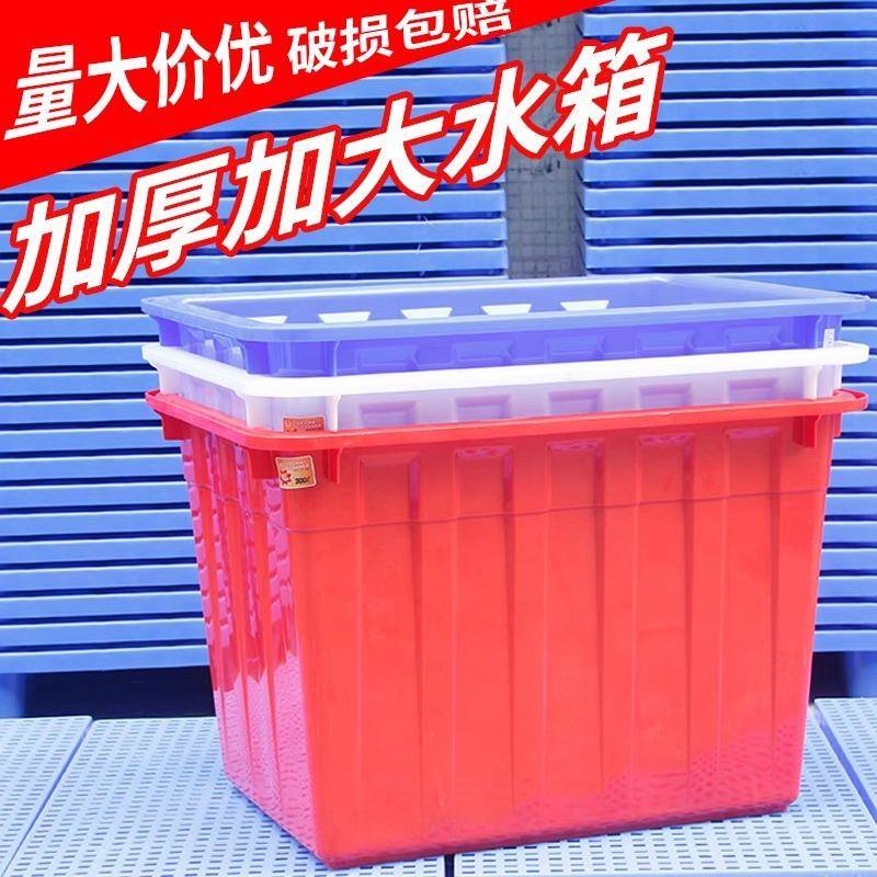 包邮箱牛塑筋料水瓷箱长EBZ方形超大周转泡砖储水箱养鱼龟水产养