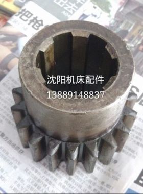 齐齐哈尔瓦房店 C512A 齿轮 Z19 M4 532217A 6-40*12 立车配件