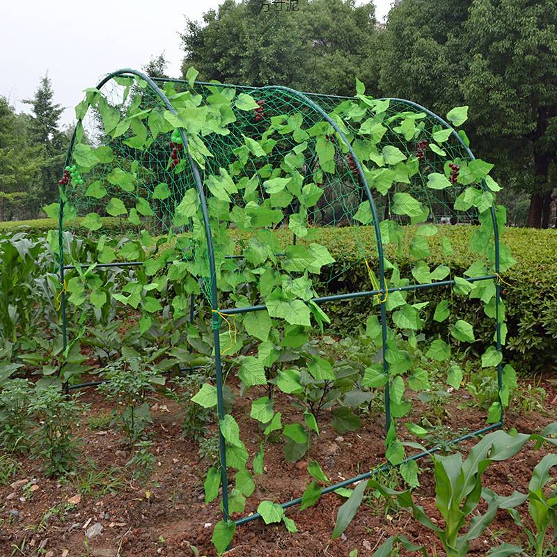植物爬藤架暖房钢管花架葡萄架大棚骨架百香果支架庭院园艺攀爬架