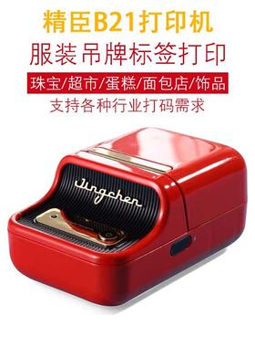 精臣B21打印机服装吊牌标签打印机珠宝超市蛋糕面包店饰品打码机