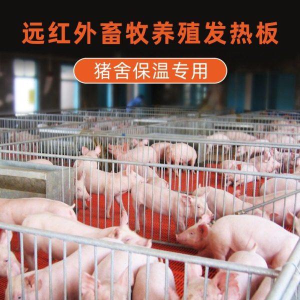 不锈钢仔猪用电热板家兽宠物养殖场加热板保温板碳纤维猪仔防咬板,五金/工具,电热带,淘宝优惠券,粉丝福利购,淘宝优惠卷