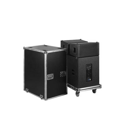 New Year's Day stage Single 10-inch active line array audio