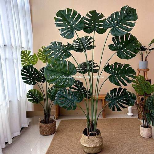 绿植龟背竹散尾葵蓝花楹南天竹橡胶榕室内盆栽假树假花厂家包邮