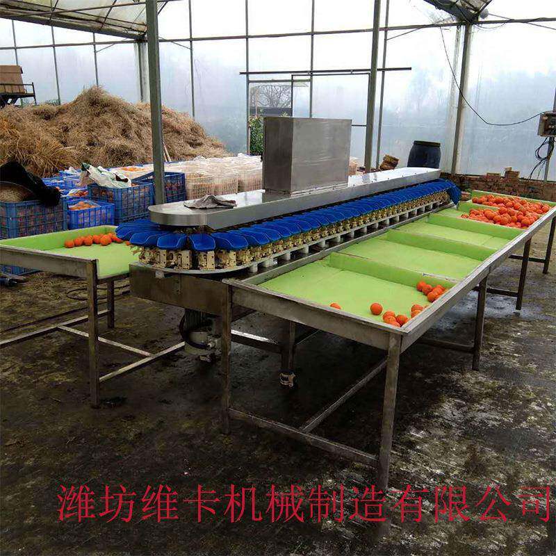 大检虾重量wk-65分级机胸肉重重量测机沙鸡丁鱼量分拣机