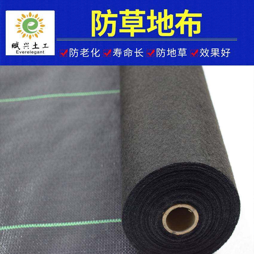 PP170g4FT黑色防草布除草布防草布除草果园防草地布
