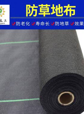 PP170g4FT黑色防草布除草布防草布除草果园防草地布